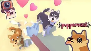 Pupperazzi (Switch) Let's Play Paparazzi game with love puppies to pet [FIRST LOOK] Gameplay ITA
