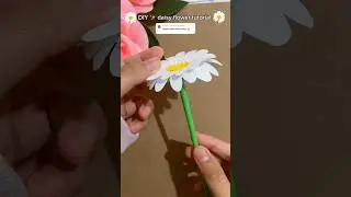 How to make daisy flower ✨ DIY daisy paper flower 💐🤍🌸 #diy #paperflower #papercraft #shorts