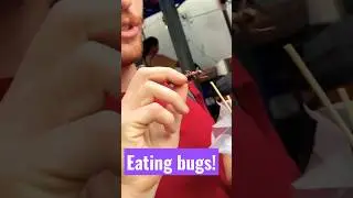 Americans eating bugs in Bangkok! #bangkok #bugs #thailand #backpacking #streetfood #travel