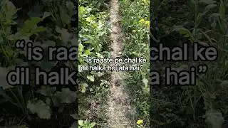 #Sarso ka khet #Village life #Gaon ki zindagi #Indian village #Farming life #Nature shorts