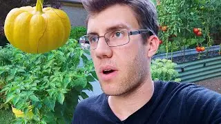 i'm 25 and i grow veggies in my parents' front yard