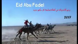 دحيه جديده حراج يوسف الصرايعه وداهش ابو بنيه ومحمد المتانين 2017