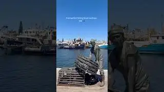 Fremantle Fishing Boat Harbour 🌊