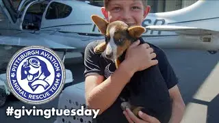 Save An Animal On Giving Tuesday 2019