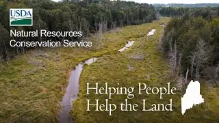 'A mission that starts with passion:' Helping people help the land in Maine
