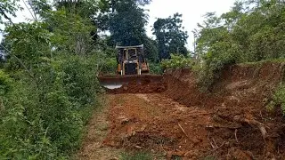 The old abandoned road clearing using a Bulldozer D6r Xl works very well