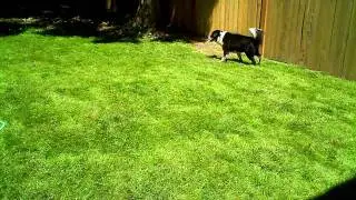 VID00583