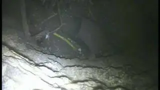 Hunmanby Well Shaft