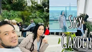 Sky Garden Bar & Restaurant live n London UK | Roof Top view The Shard Tower of London River Thames