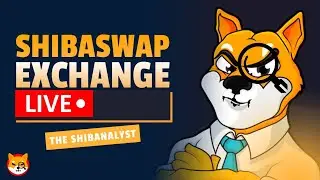SHIBA INU (SHIB) HOW TO CONNECT METAMASK / COINBASE WALLET TO SHIBASWAP