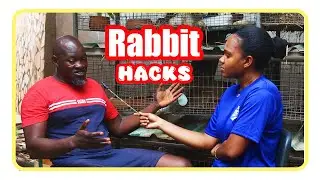 Basic Knowledge about Rabbit Farming for all beginners