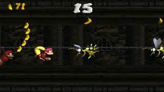 Donkey Kong Country 2: Level 37: Chain Link Chamber