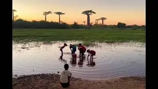 Discover Madagascar with Calm Adventure Tours | Tailor-Made Travel Experiences