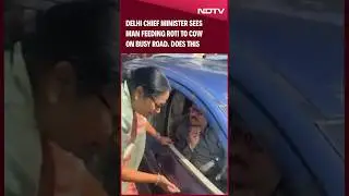 Delhi Chief Minister Sees Man Feeding Roti To Cow On Busy Road. Does This