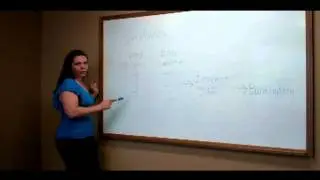 Real Estate Street Talk - What is Insolvency?