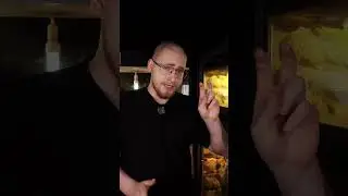 Gekon orzęsiony odrzucił sw&oacute;j ogon?!