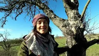 Reise Vlog 1/20 Wanderung - Rieselfelder Großbeeren - Berlins innovative Kläranlage - Baumenergie