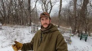 One Foot On The Gas, Other On The Brake - Spring Hive Management #1
