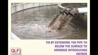 2012 11 07 13 02 Optimizing Biological Phosphorus Removal