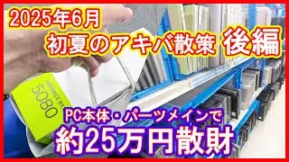 【アキバ散策】約25万円散財した2025年6月の秋葉原散策動画の後編！グラボやPC本体・ドールアイテムを購入！【ジャンク・PCパーツ・ドール】