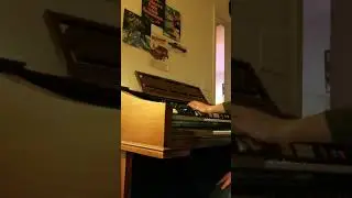 Lowrey Organ with Magic Genie Chords