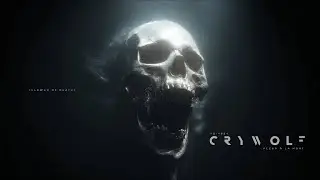 HD-4884 & Crywolf - Fleur &agrave; La Mort || (Official Visualizer)