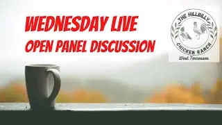 Wednesday Live - Open Panel Discussion