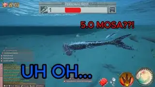 Growing a 3.0 Mosa SOLO on Official - Beasts Of Bermuda