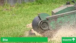 Tree stump grinding Narre Warren