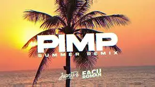 PIMP VS 1234 (SUMMER REMIX) - JUANIPE X FACU ROMAN 