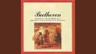 Symphony No. 6 in F Major, Op. 68: II. Scene am bach (Andante molto moto)