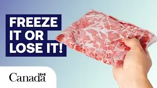 Can I Still Eat That? Frozen Food
