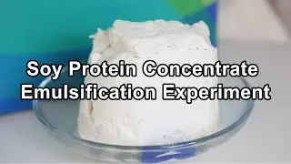 Soy protein concentrate emulsification experiment