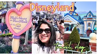 Magical Day at Disneyland: Rides, Treats, and Character Meetups!