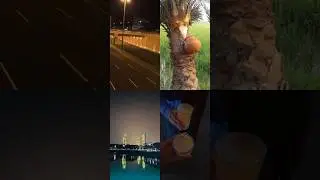 ভোরে খেজুরের রস খেতে গেলাম🍻🥶 #viralvideo #khejurergur