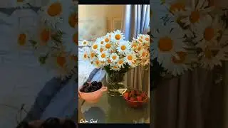 الحمدلله دائما و ابدا🤍🌸  #الحمدلله_دائماً_وابداً #الرضا #يقين #راحة_نفسية #calmsoul