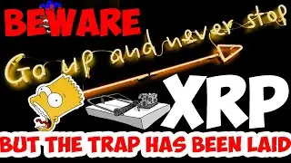 Ripple XRP MY FACE LITERALLY MELTED ON HOW BULLISH I AM | BLACKROCK & INSTITUTIONS INCOMING LETSGO!