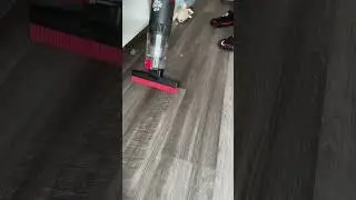 Pet Hair Cleanup!