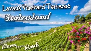 Lavaux: Switzerland's Wine Paradise