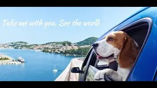 Dog Car Seat Cover with 3 Hard Panels Holds 400lbs, Waterproof Backseat Extender for Large Dogs