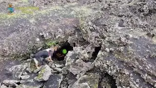 Nelle grotte dell'Etna guidati dal cane Halma della Finanza, fra cadaveri e misteri