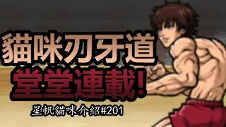 《貓咪大戰爭》台版全新合作！範馬刃牙堂堂登場！ | 星帆貓咪介紹#201