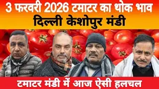 3 Feb 2026 Delhi 🍅 टमाटर होलसेल भाव | Keshopur Mandi | Today Tomato Rate #tamatar #tamatarmandi