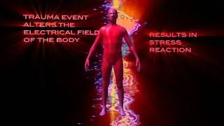 Gooing Chiropractic Clinic - Trauma Correction Process