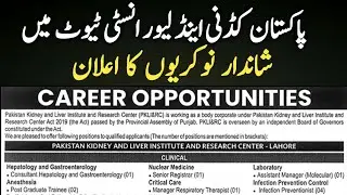 pkli lahore jobs online apply | how to apply pkli lahore jobs 2026 | pkli jobs apply online 2026