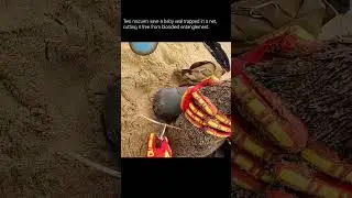 The Seal Rescued from a Fishing Net by Two Brave People #shorts