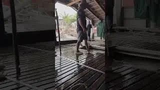 Ghe Đục đầy C&aacute; Tra gi&aacute; 3X 🔴 H&agrave;nh tr&igrave;nh từ Ao Nu&ocirc;i đến C&ocirc;ng Ty chế biến xuất khẩu @catravietnam
