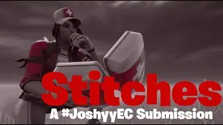 Stitches: A #JoshyyEC Submission