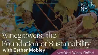 Winegrowers, the Foundation of Sustainability with Esther Mobley