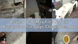 Review YoYoBay Flea & Tick Prevention for Dogs Chewables, Natural Dog Flea and Tick Control Treatmen